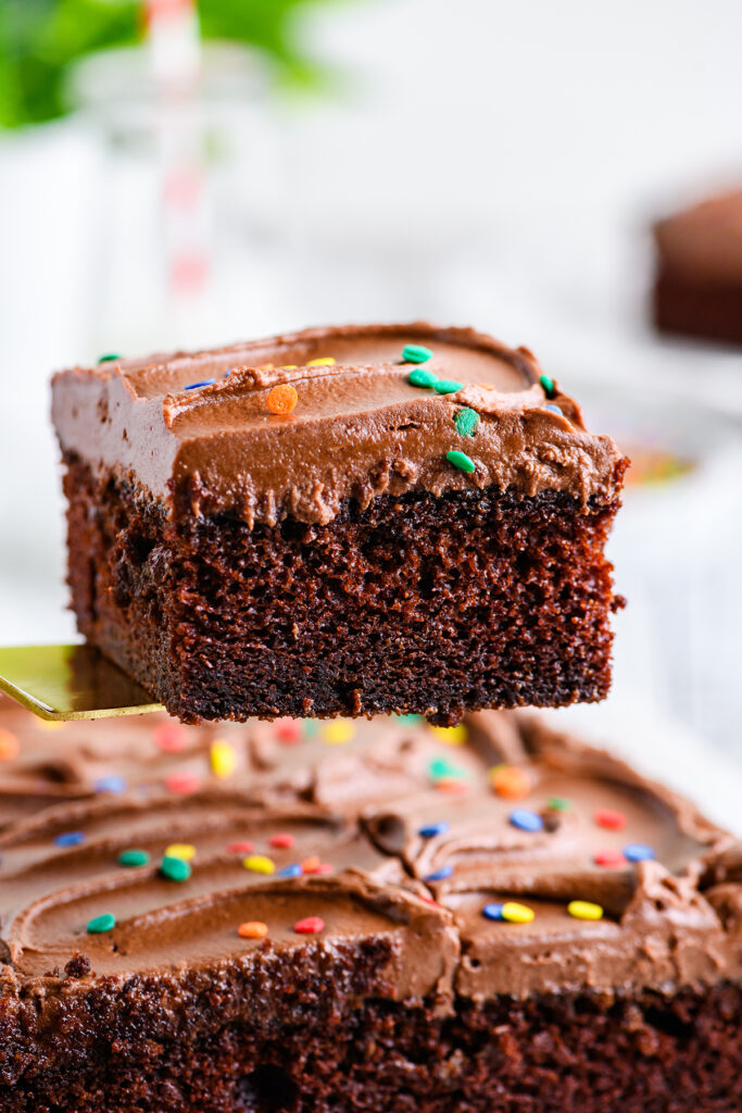 Pretty Focused Chocolate Cake Homework