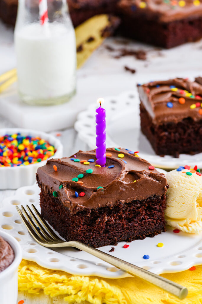 Pretty Focused Chocolate Cake Homework